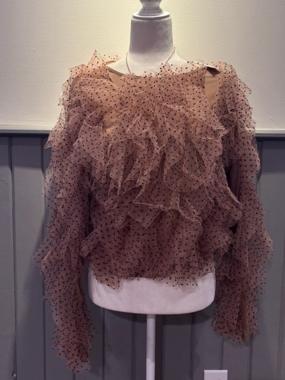 🖤 Anthropologie Dolan Tulle Beige Polka Dot Ruffle Tulle Blouse Medium - Picture 5 of 9